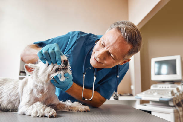 Best Emergency Tooth Extraction in Bushnell, FL